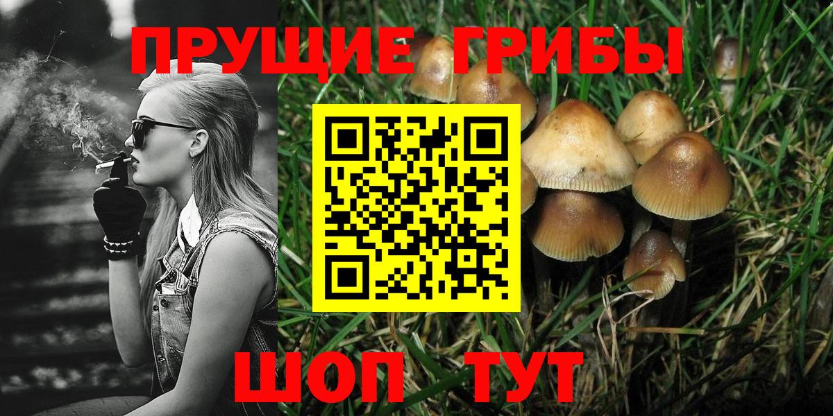 Галлюциногенные грибы прущие грибы  Вход с VPN  Кирово-Чепецк 