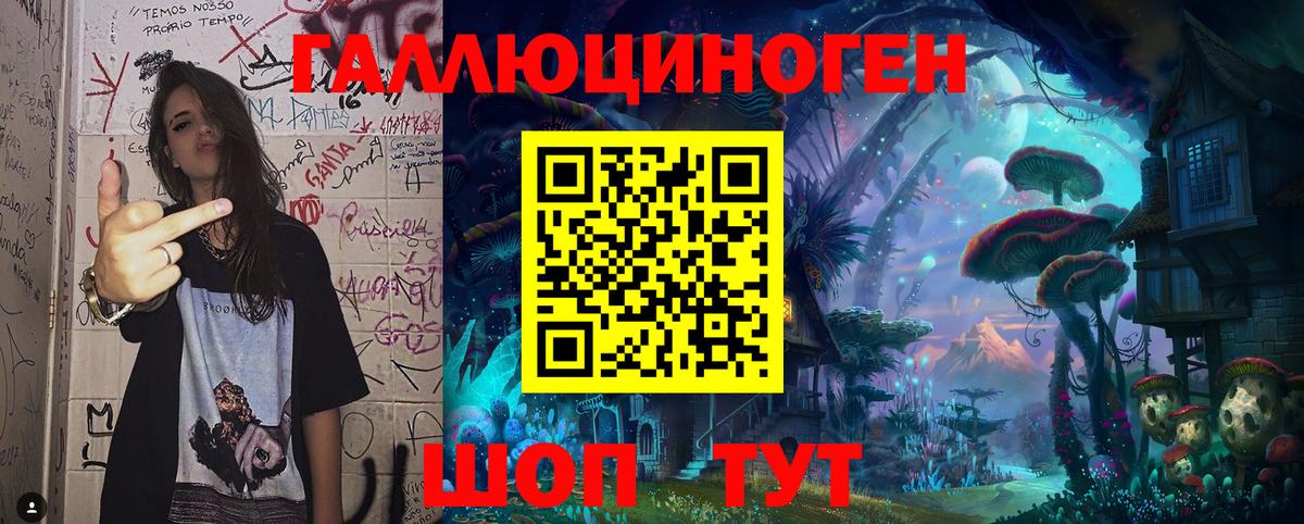 Псилоцибиновые грибы Psilocybe Кирово-Чепецк